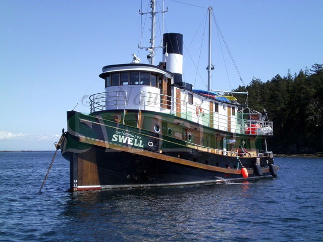 Nautilus Swell: July diving in Alaska!
