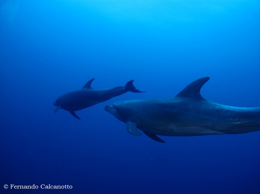 "We witnessed the beauty, tenderness and serenity of nature".