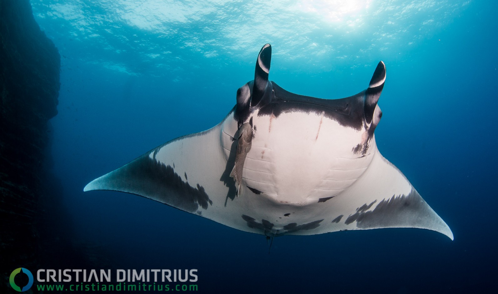 It's one of the greatest occasion you have to see how wonderful our planet can be