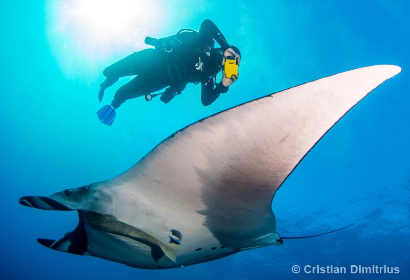 Died and gone to Diver's heaven!