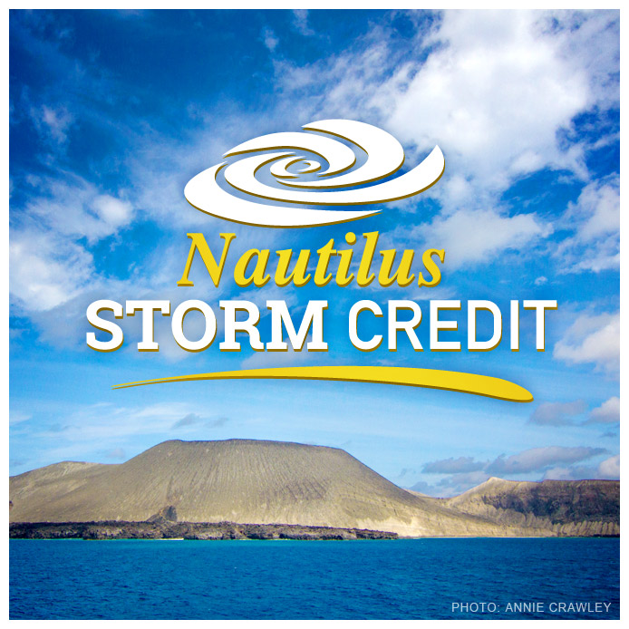 Formalized storm credit policy