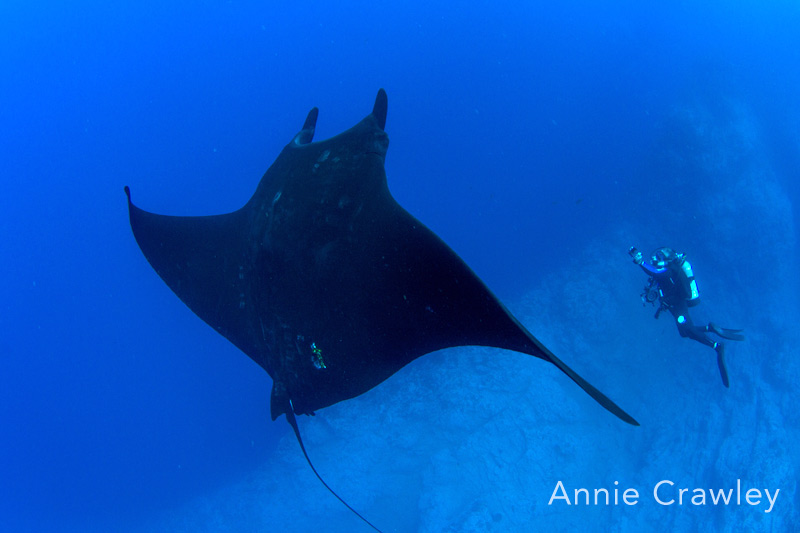 A great wrap up to Nautilus Belle Amie's first Socorro Season