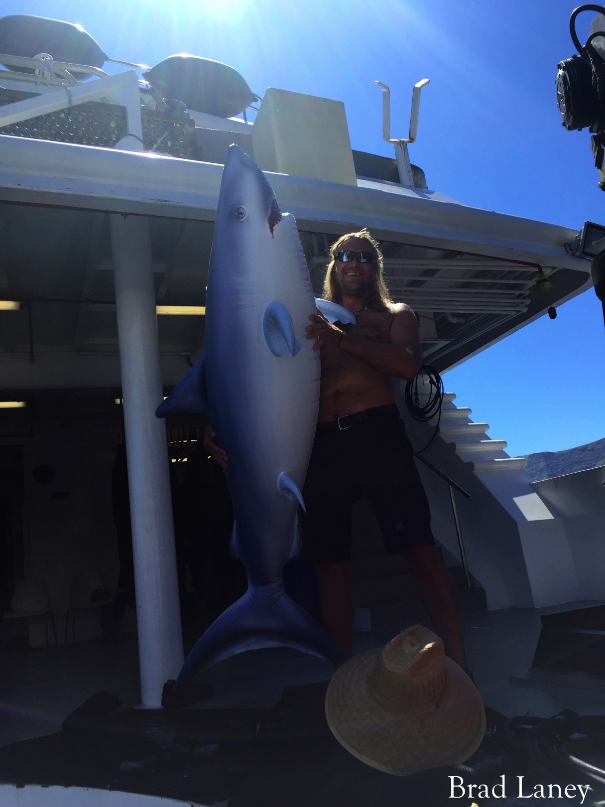 I'm writing on the way out to Guadalupe, calm seas and blue sky…. Reflecting back to the days when we first started out at Guadalupe Island in 2007