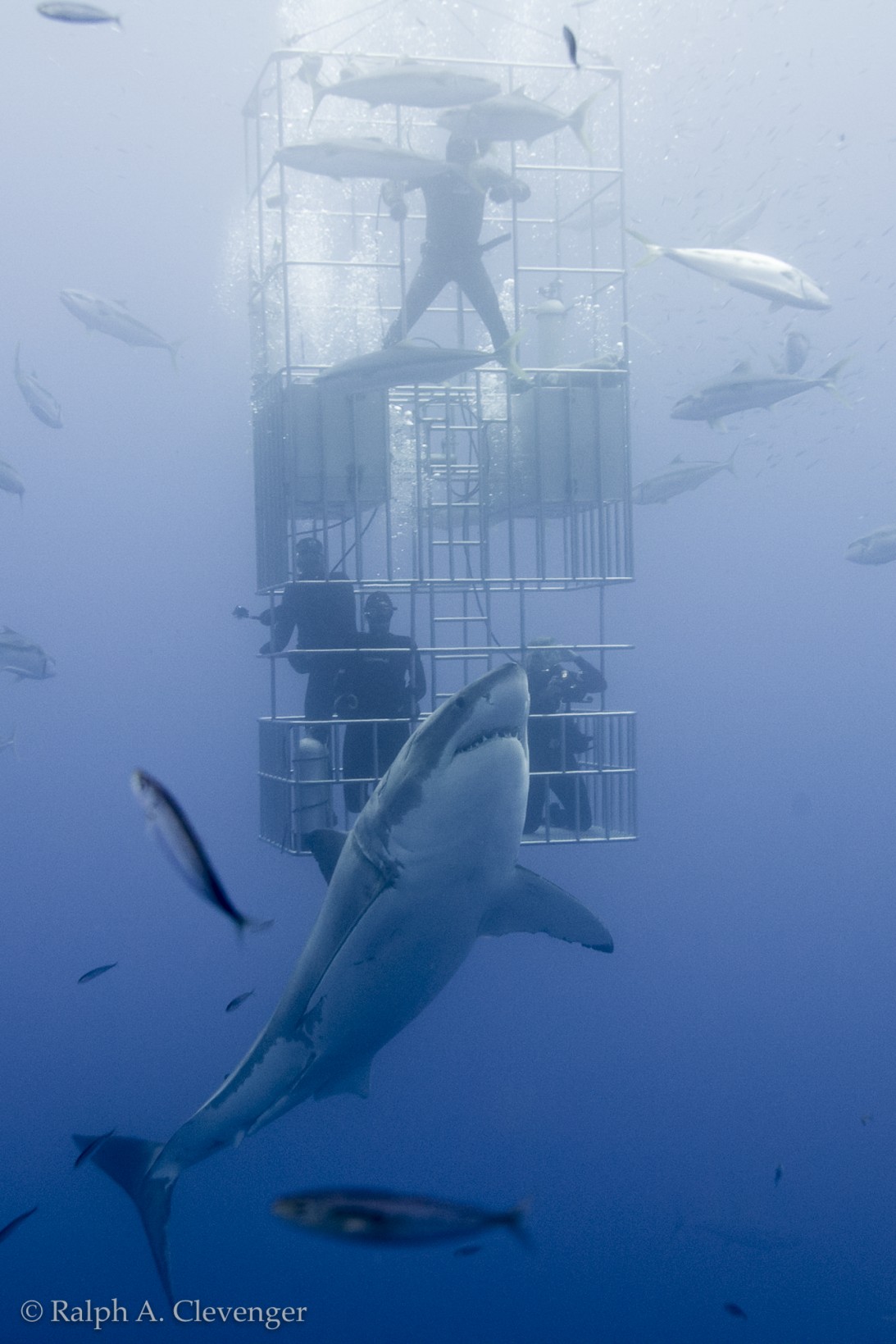 The first bubbles are blown as the guests are lowered 33 feet below the deck.