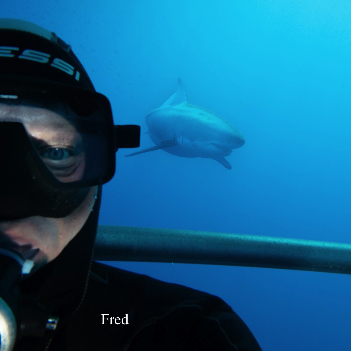 On our first dive I knew this was going to be my best holiday ever!!