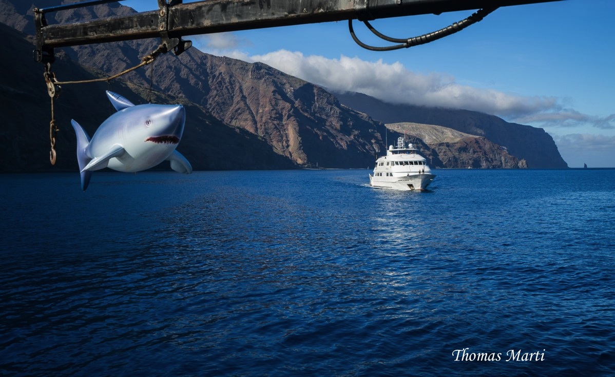 Nautilus Explorer's Captain Baron's Final Dive With Great White Sharks For The 2015 Season