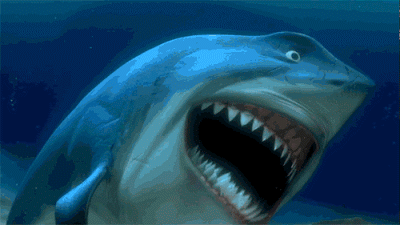 What's really happening with great white shark research at Guadalupe Island