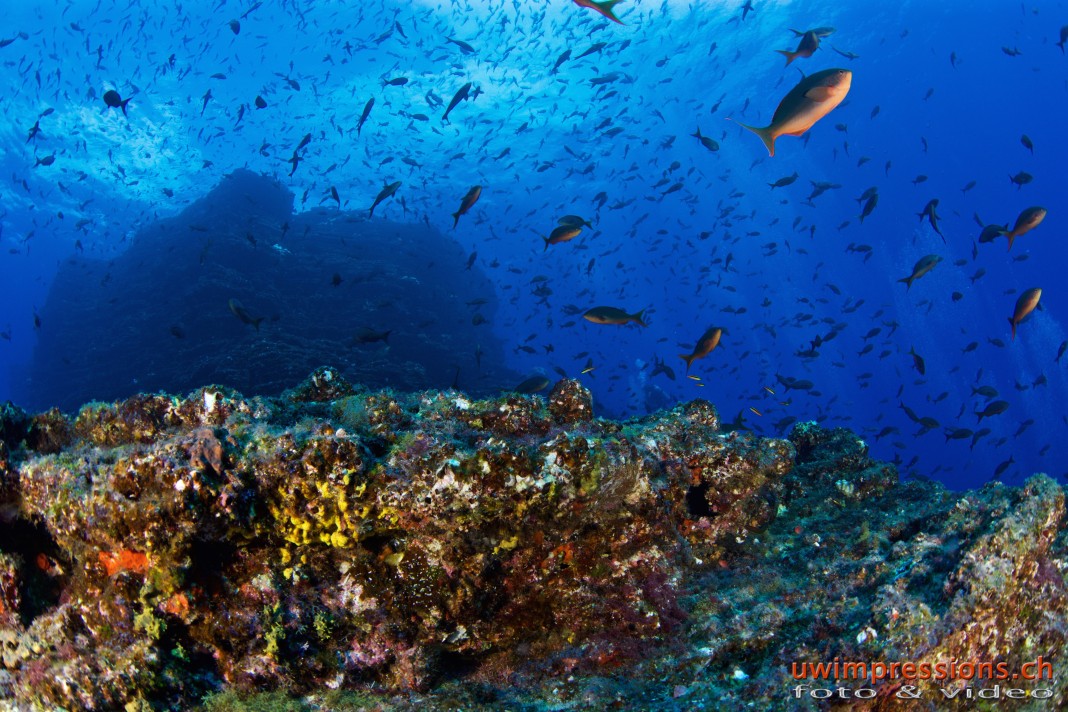 Our little underwater sanctuary right in the middle of the Pacific