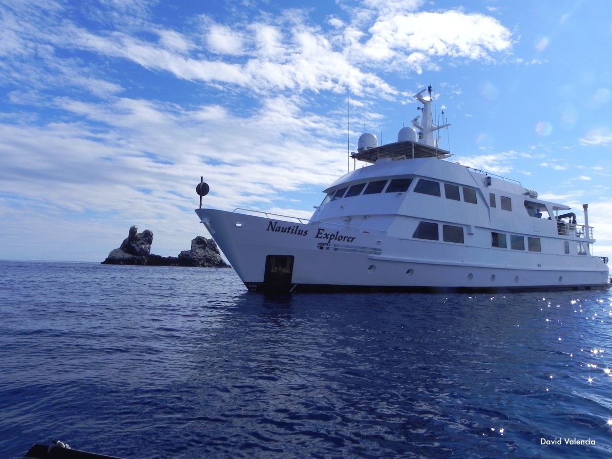 Very Professional Diving Vessel