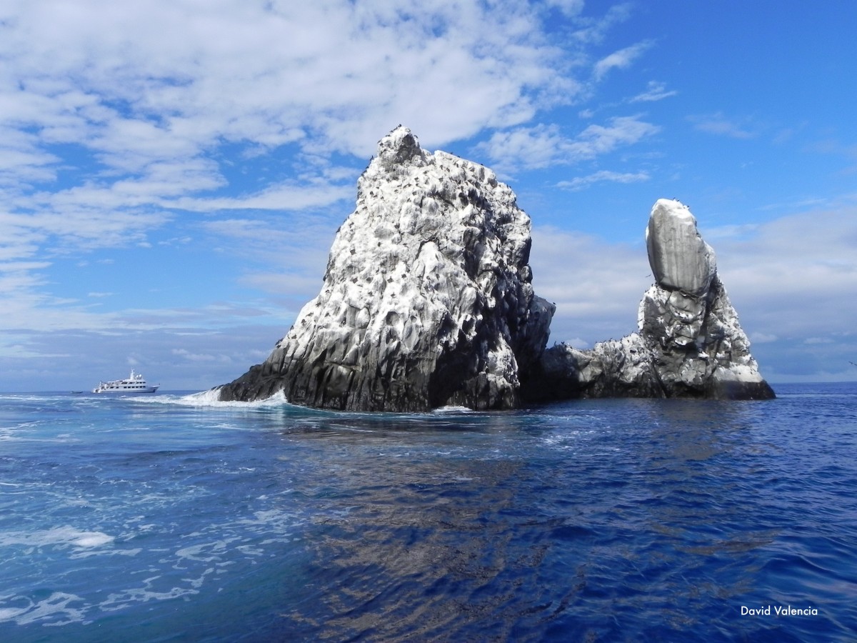 The Animals are Large and Topside Scenery is Beautiful!
