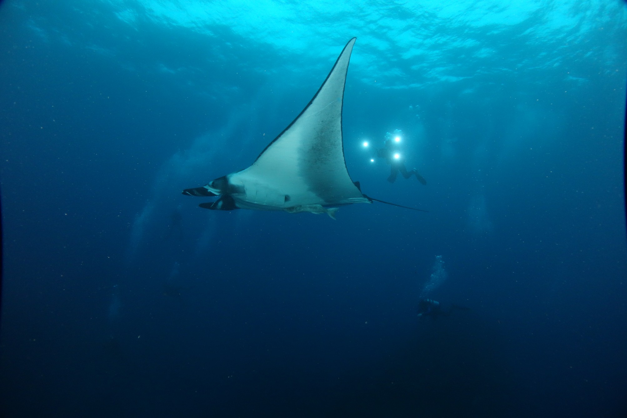 These Islands Remain as Wondrous and Exciting as Ever!