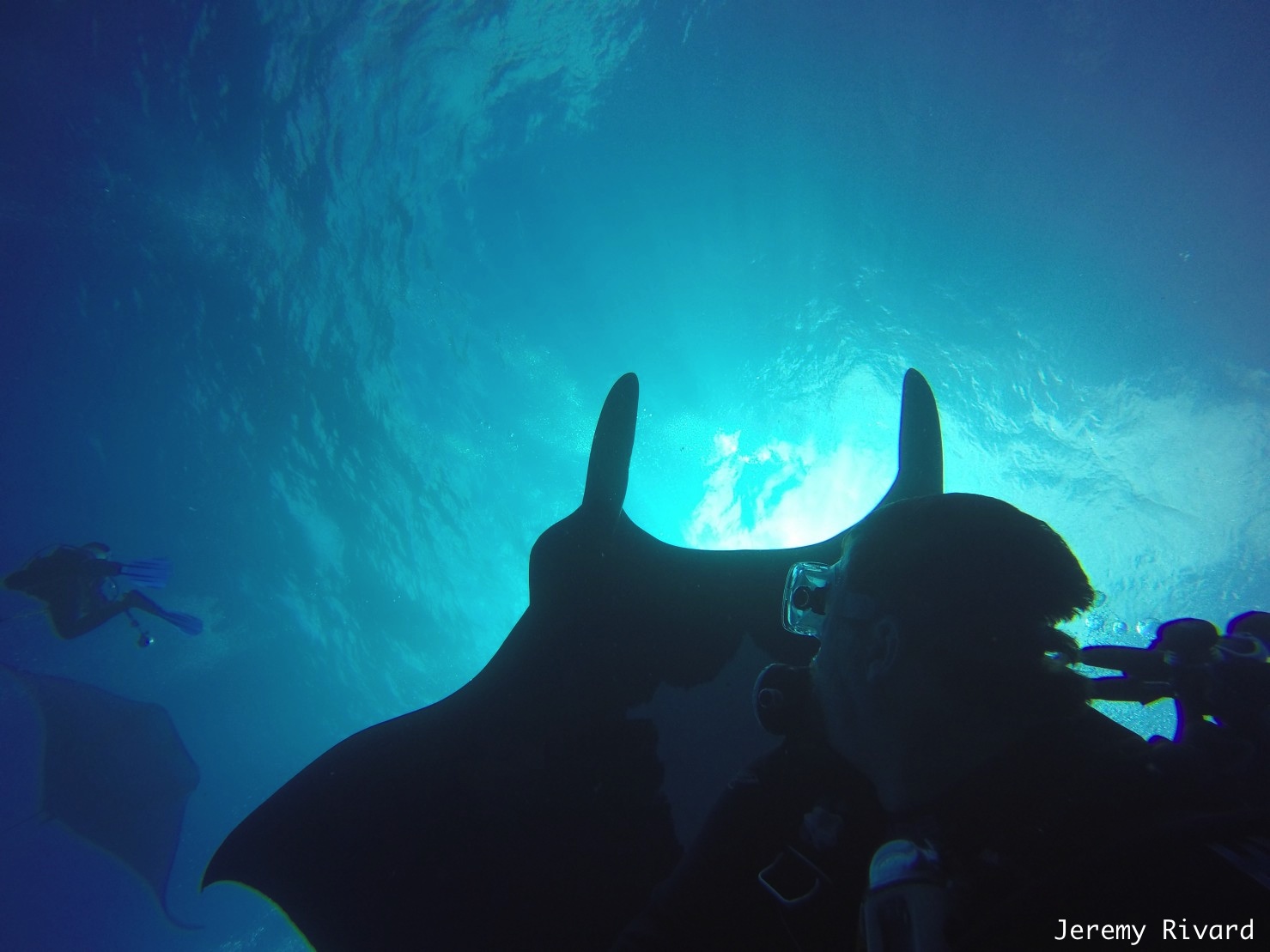 The diving is ALWAYS exciting here and the giant mantas bring me back every time.