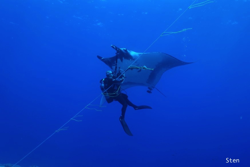 Today’s diving at Cabo Pierce took some effort…