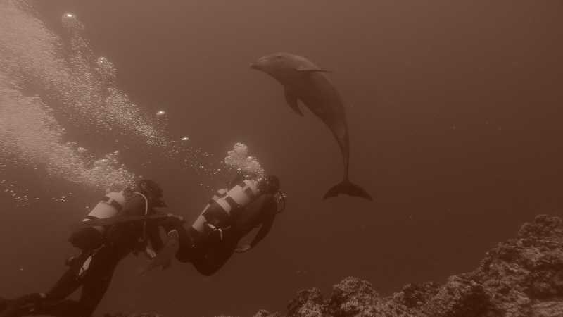 One of the most memorable dives of our lives