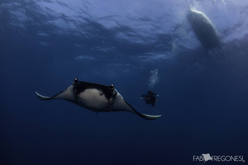 The Most Fantastic Liveaboard!