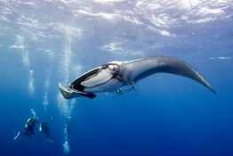 I am in awe of and in love with the ocean!