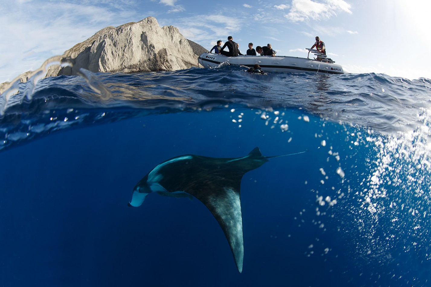 Nice Manta Encounters!
