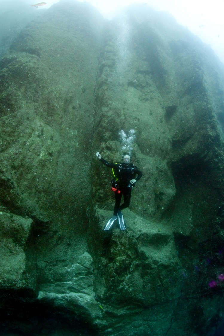 Mantas Barrel Rolling!
