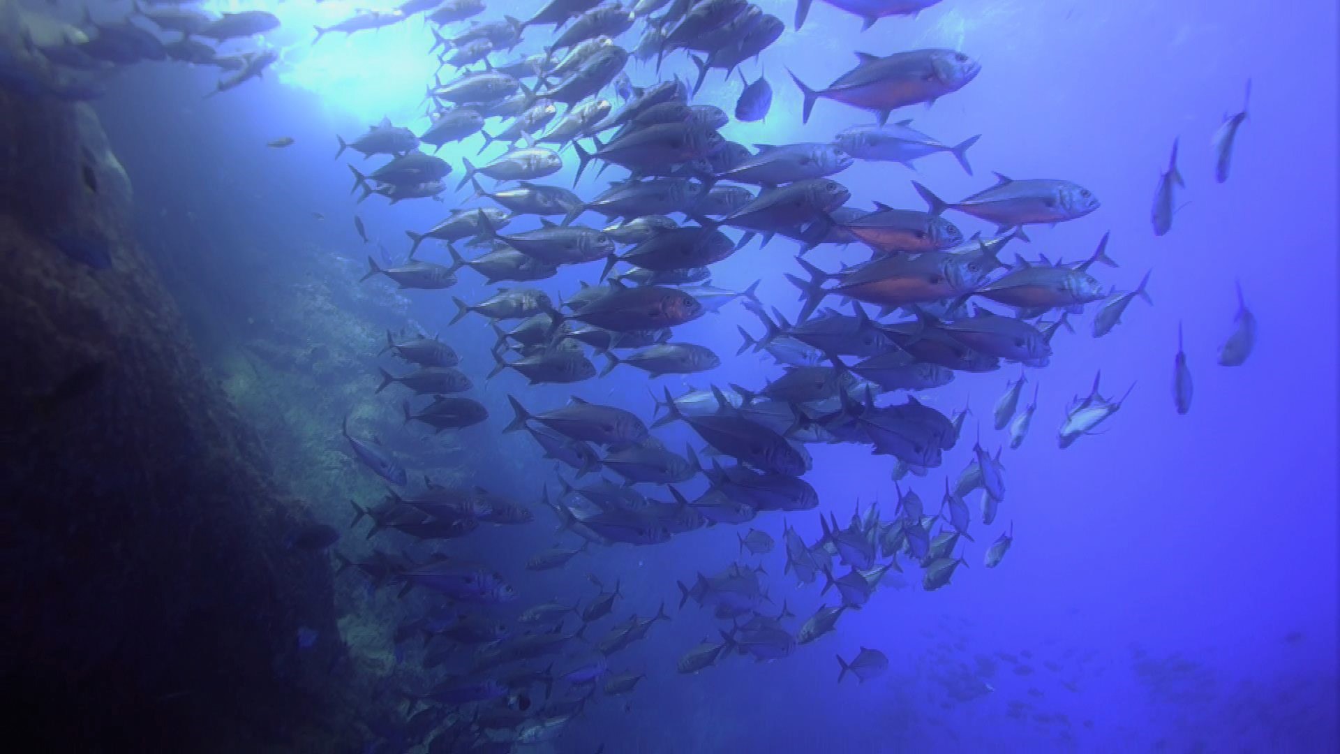 Mexico Stands Tough on Island Fisheries Closure