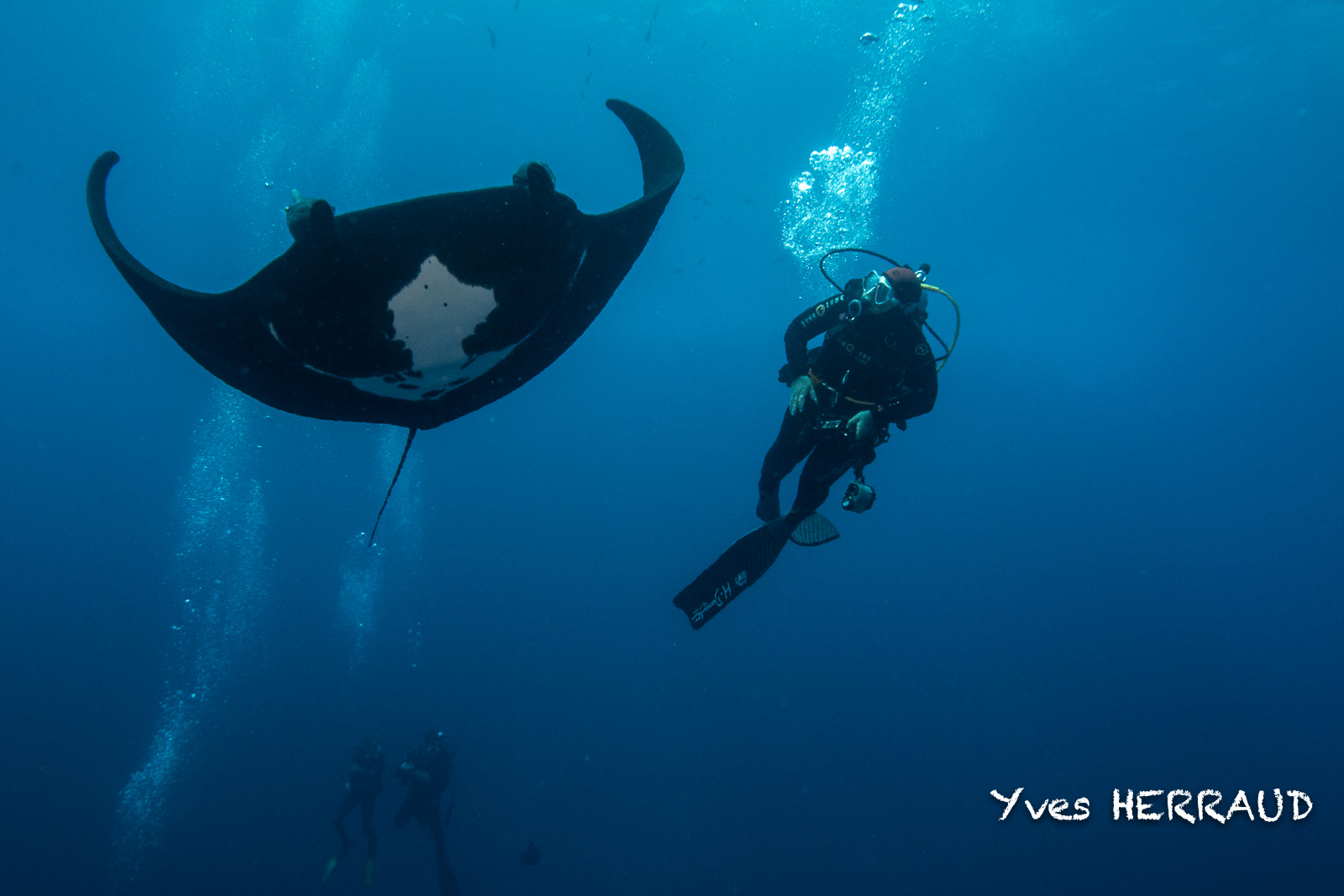 Having fun chasing jacks
