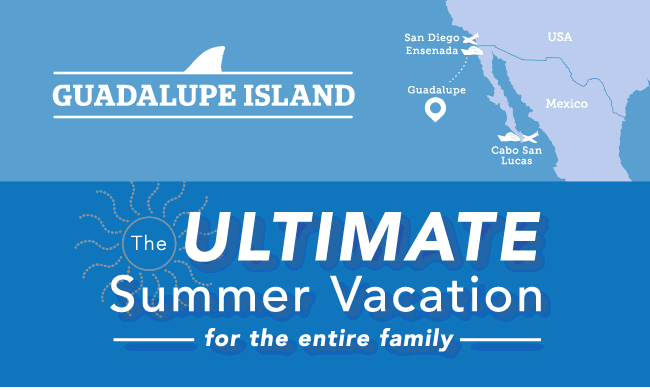 Kids and Teens Travel FREE!