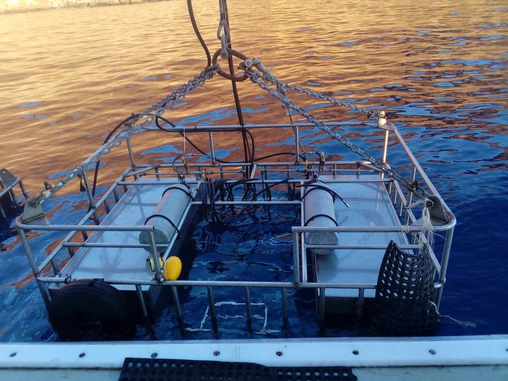 D*mned proud of our great white shark cages