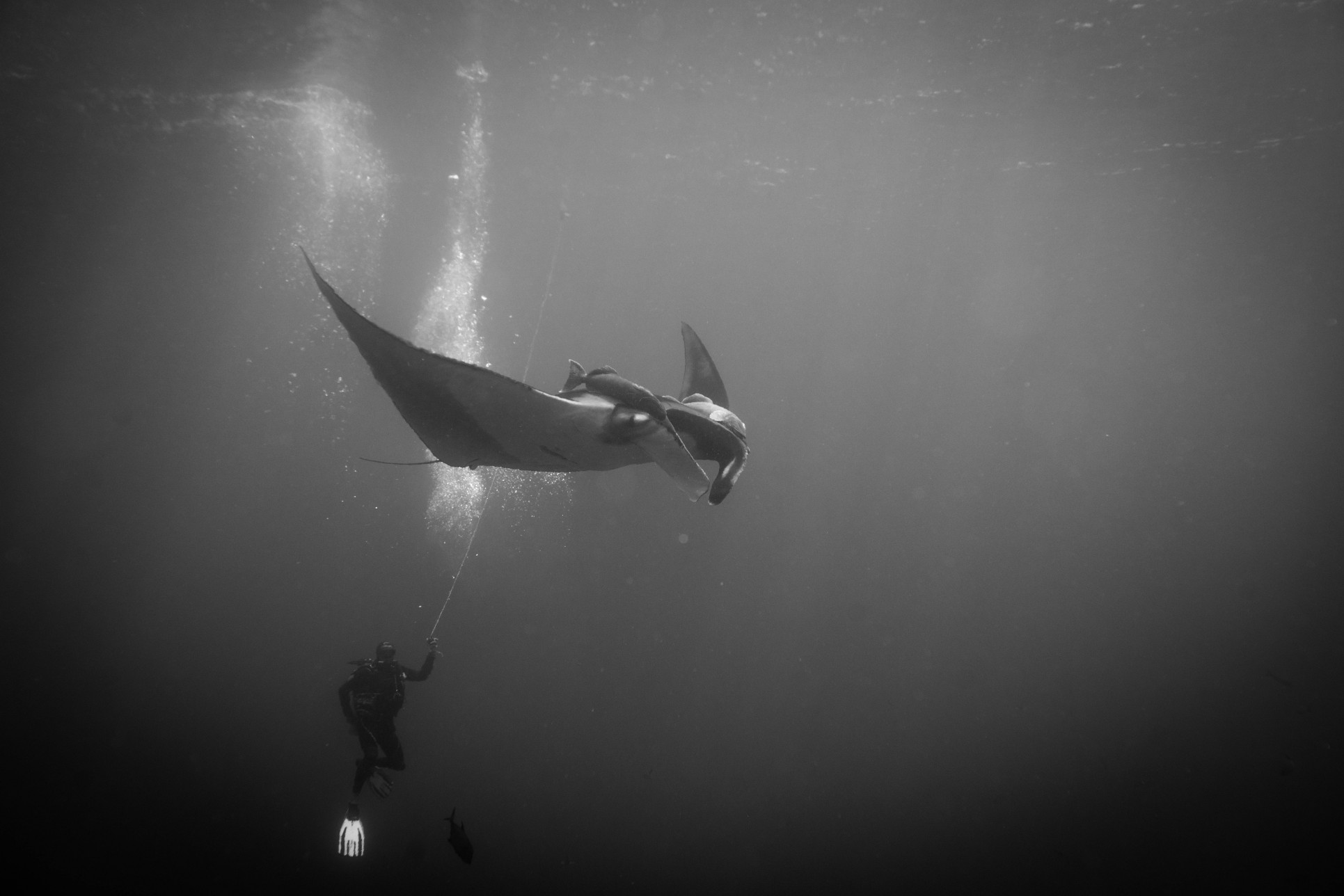 Great Weather, Diving, & Crew!