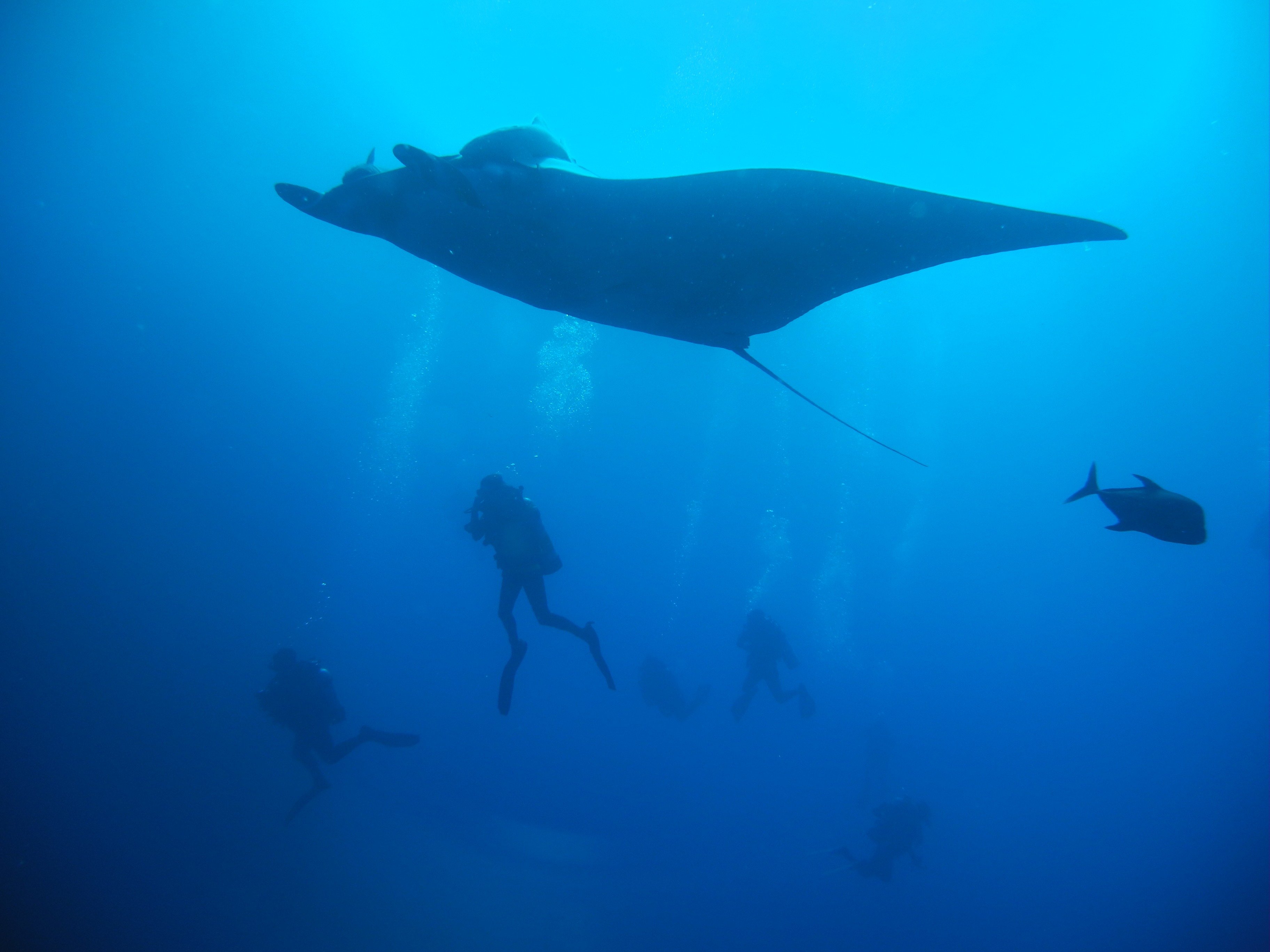 Who said check dives had to be boring?!