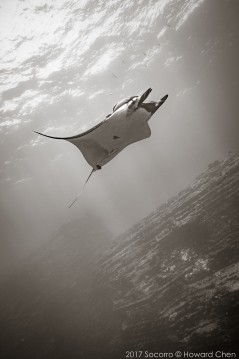 May 26th from the Nautilus Explorer