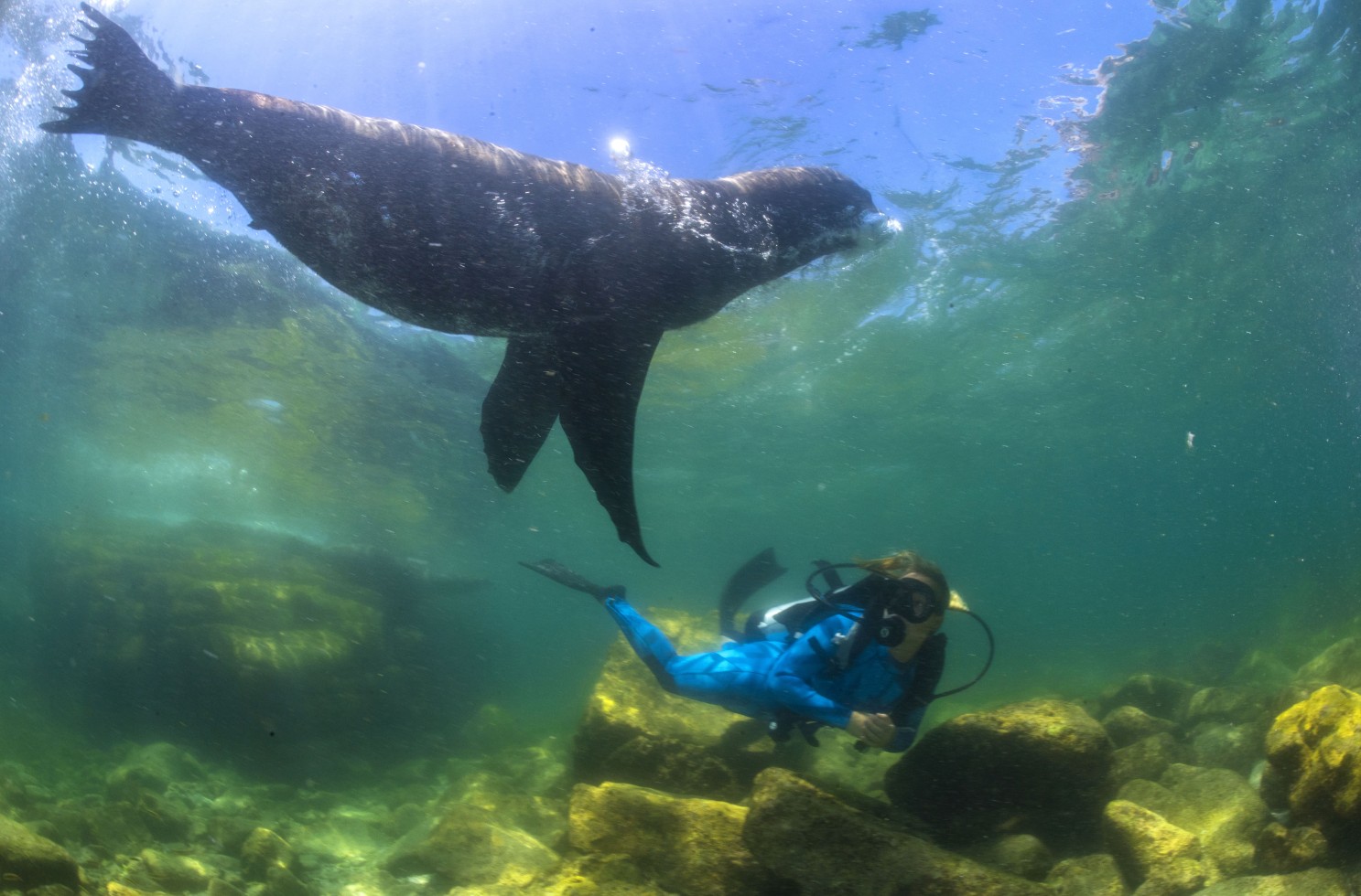 First Day Dives at Swanee