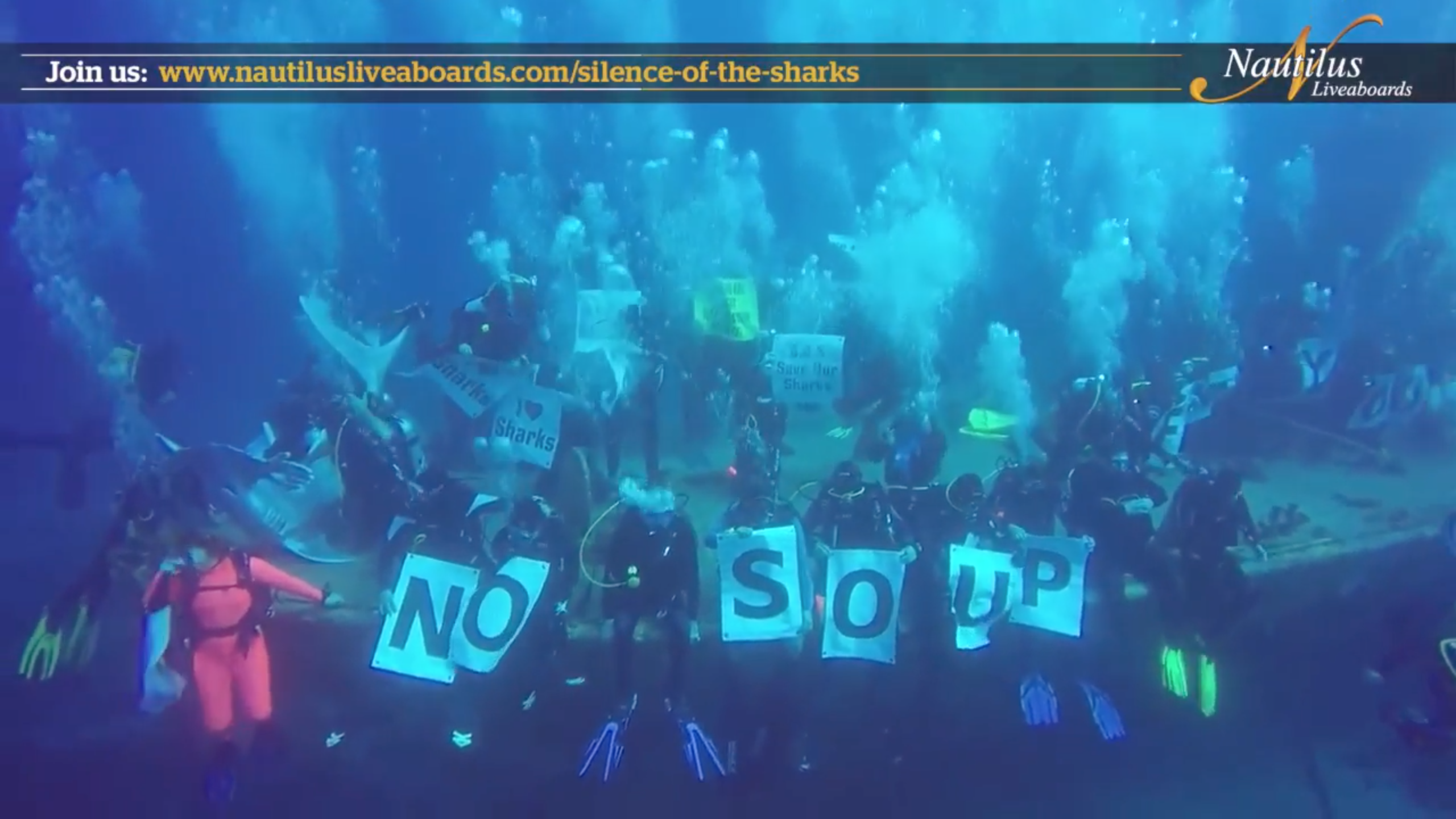 Nautilus Shouts out for the Sharks!!!