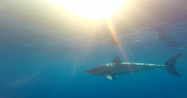 How was your Second day in Guadalupe?