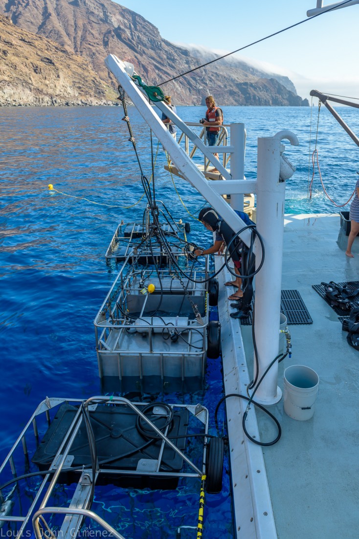 crew preparing the shark cages