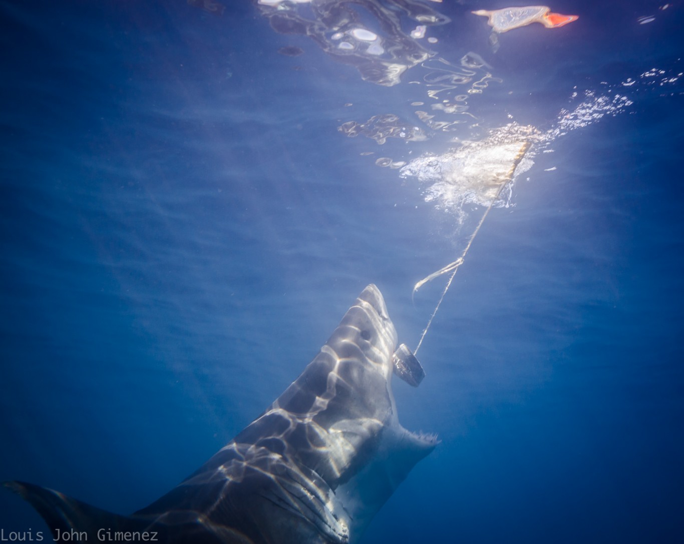 A "National Geographic" Moment