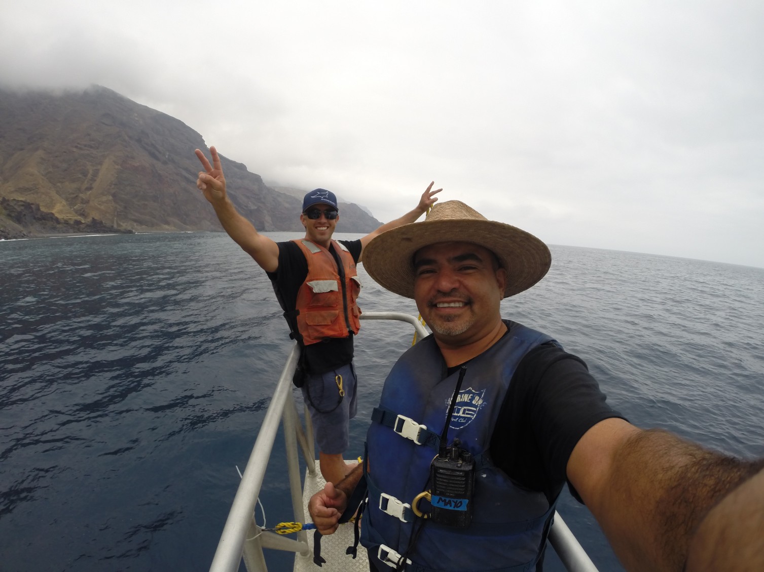 shark cage diving tours in Baja, Mexico
