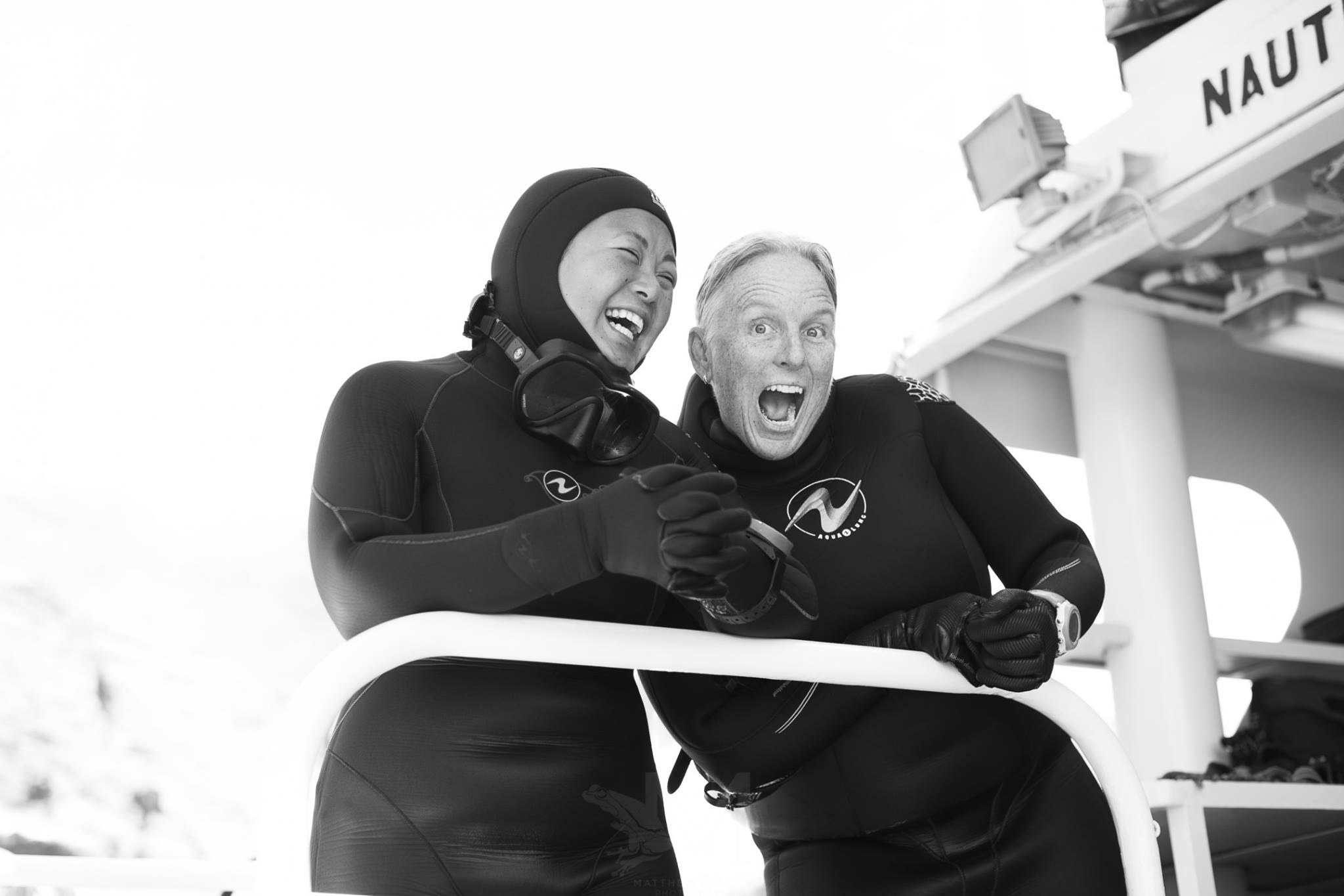 shark cage diving tours in Baja, Mexico