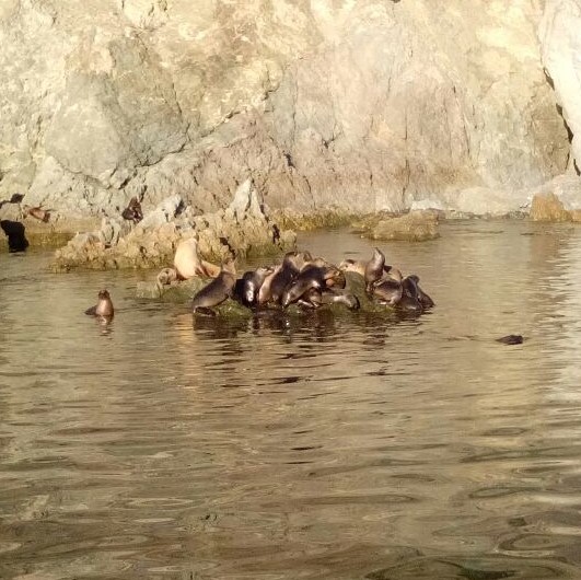 Playing at Cedros Island
