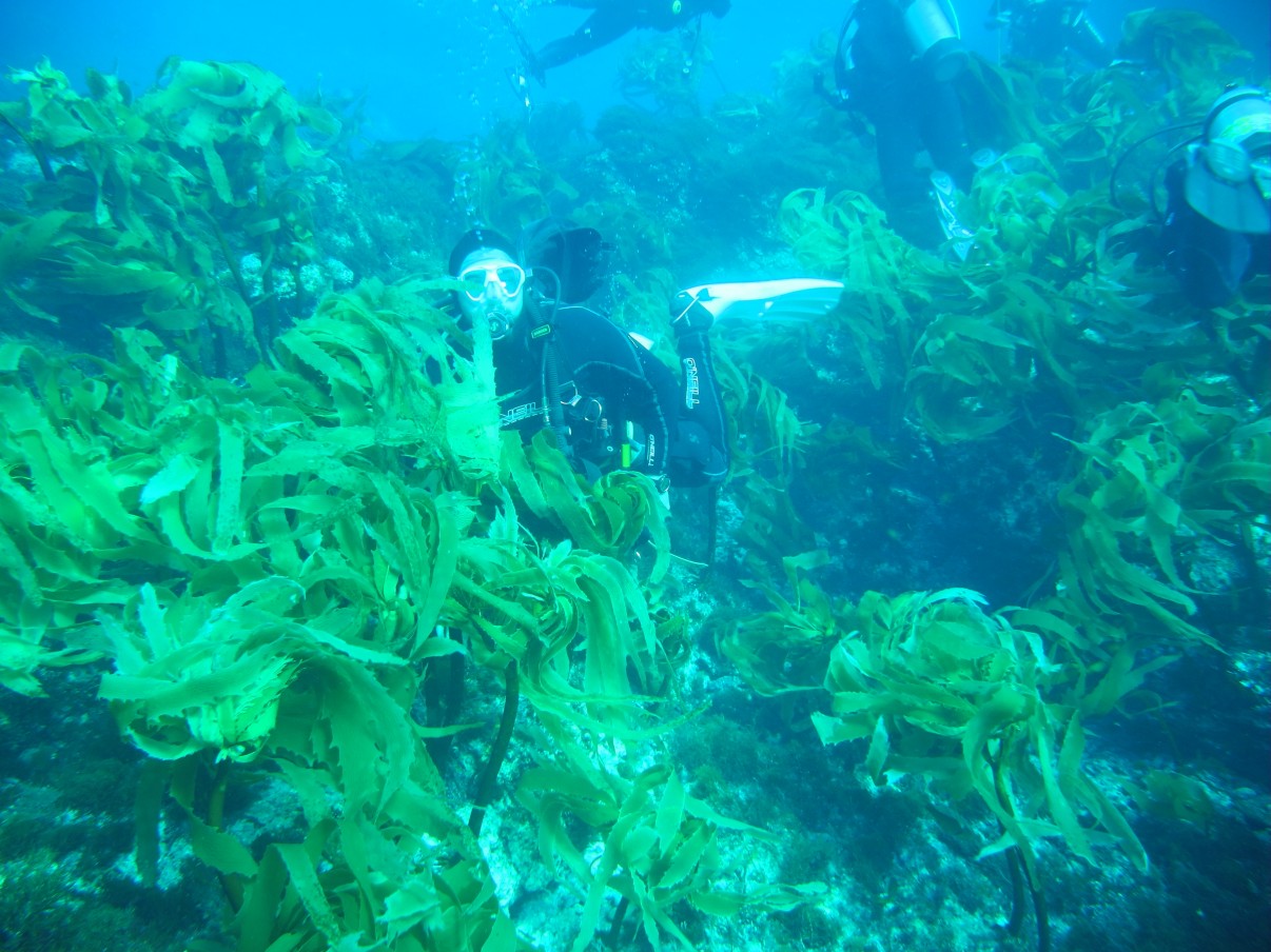 Nautilus Liveaboards