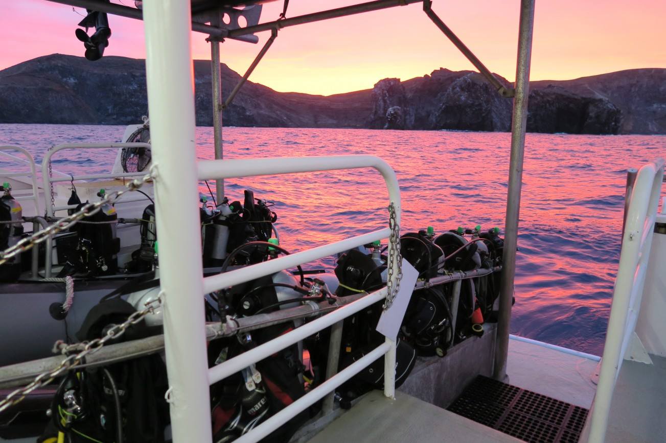 scuba diving tours, Sea of Cortez