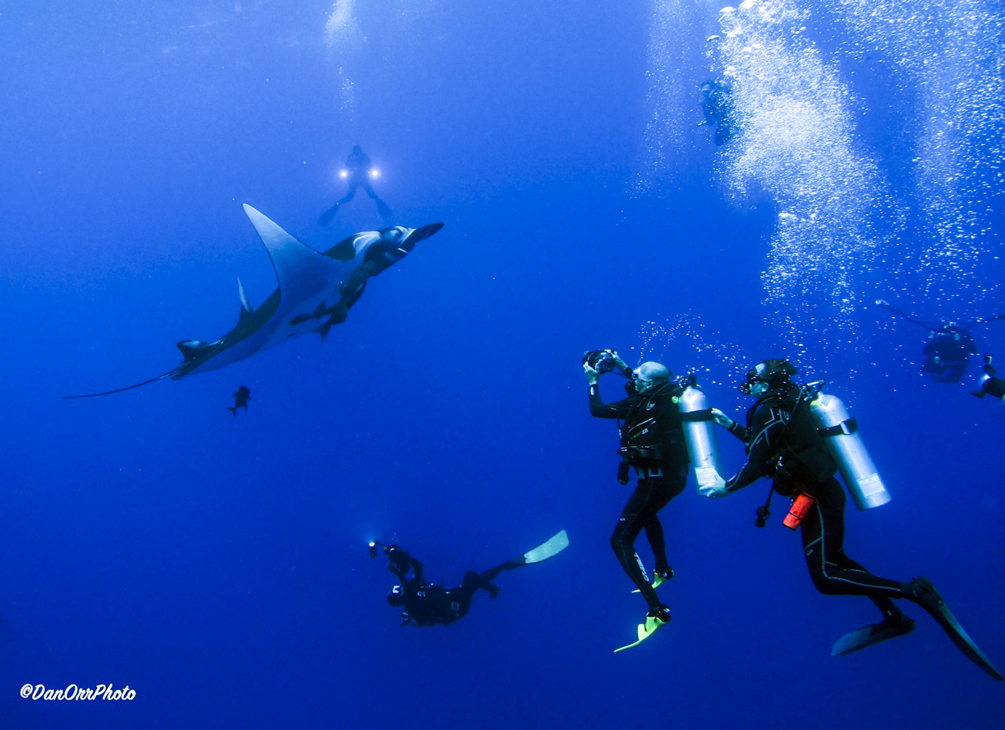 Divers in Socorro Mexico