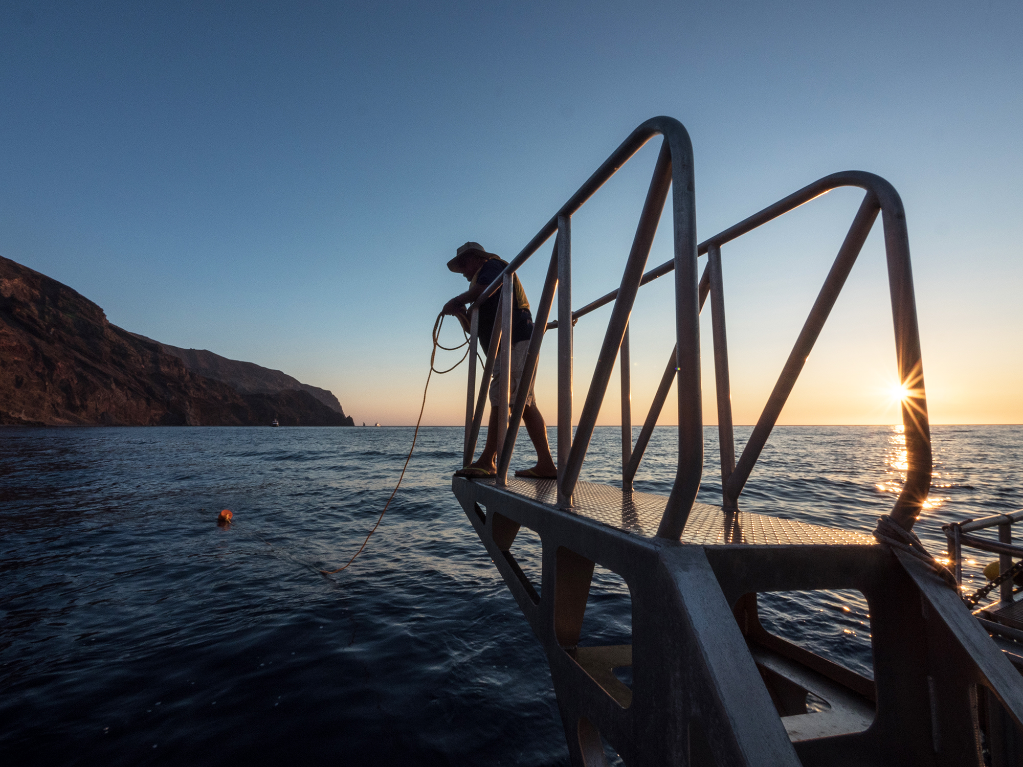 Nautilus crew shark wrangling at Guadalupe Island