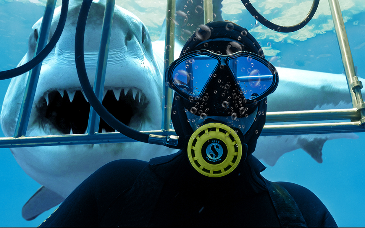 Shark Selfie, Guadalupe 2018