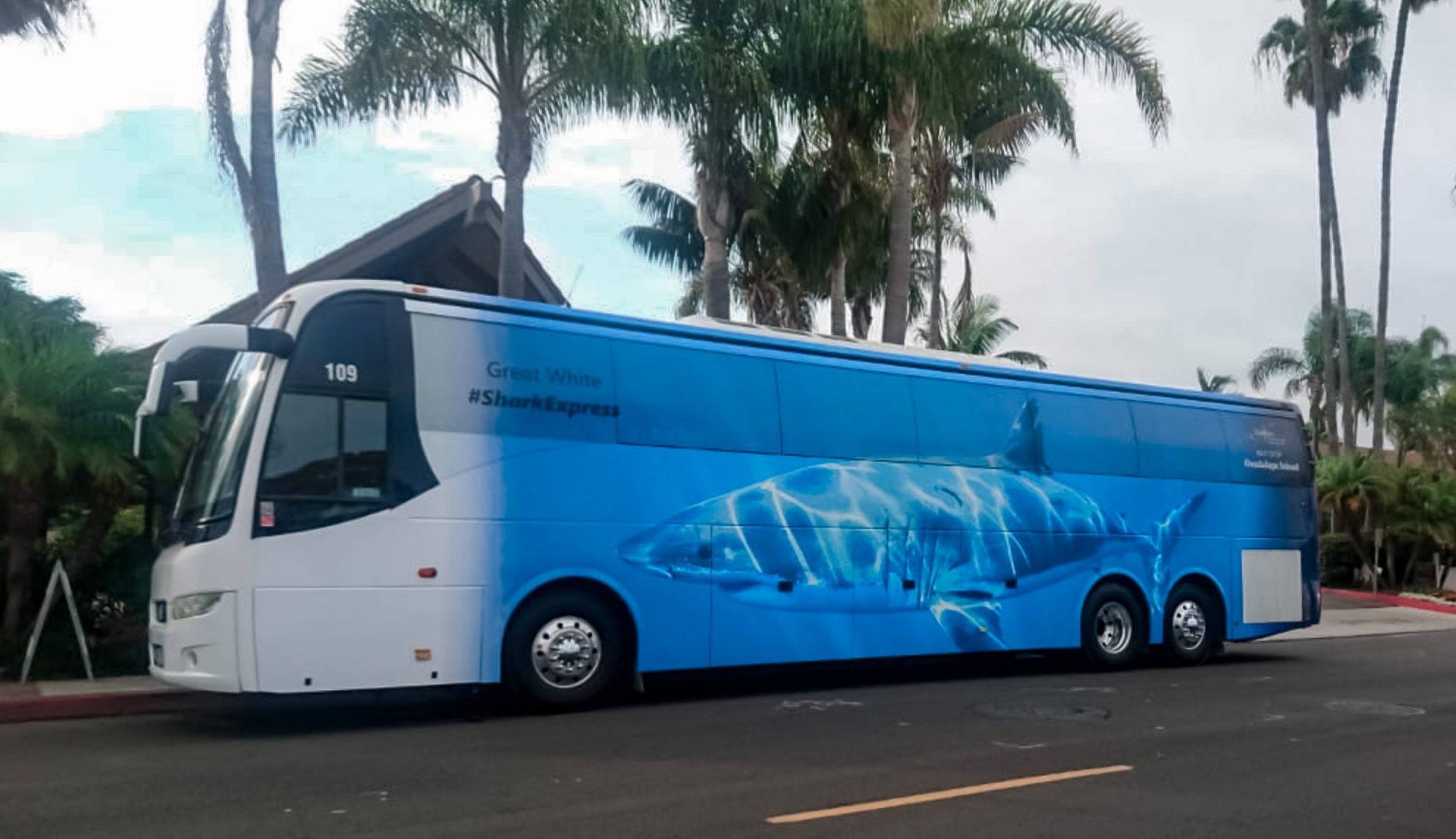 Shredder Shark Express to Guadalupe Island