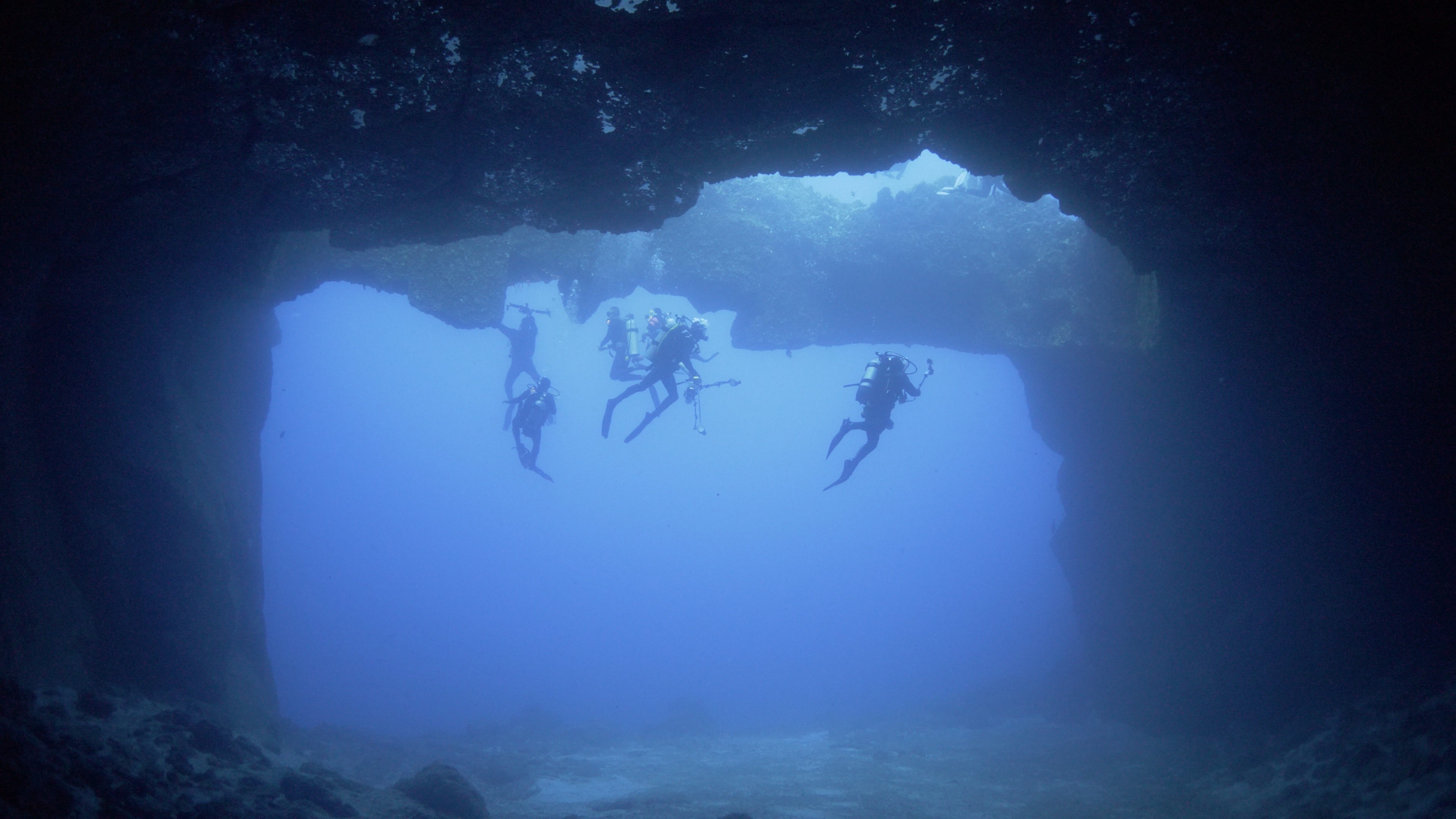 Roca o'neil dive site