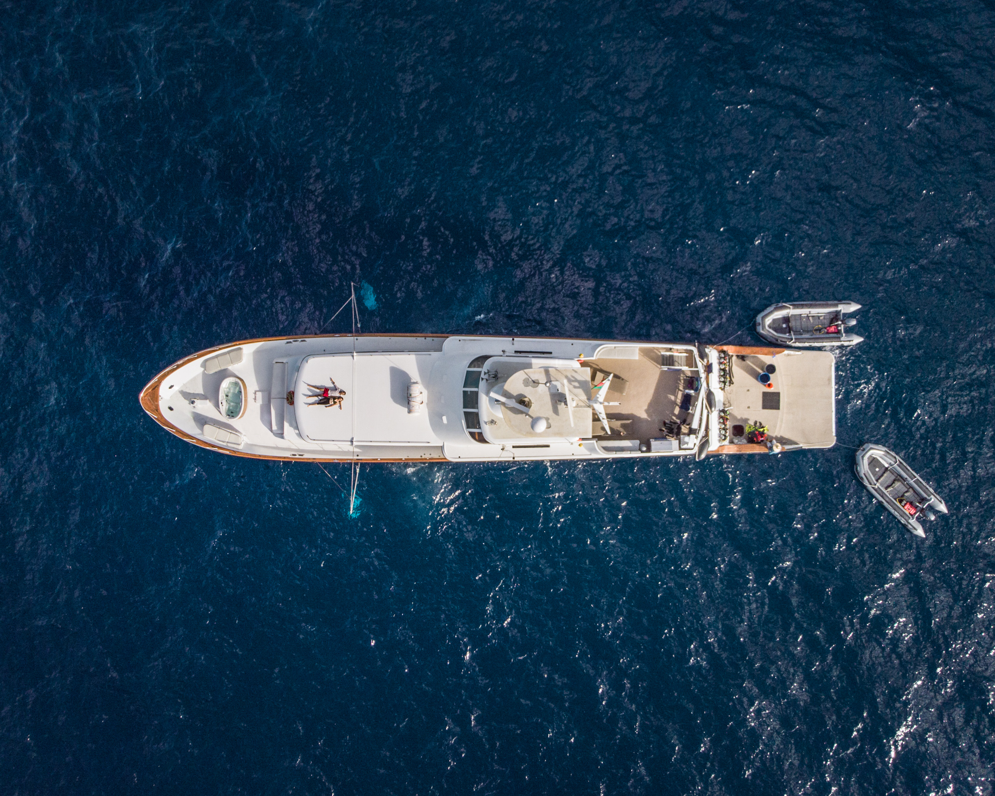 Liveaboard tours in the Sea of Cortez