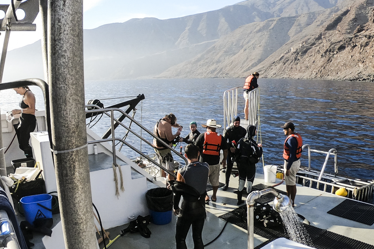 Explorer Huge Dive Deck