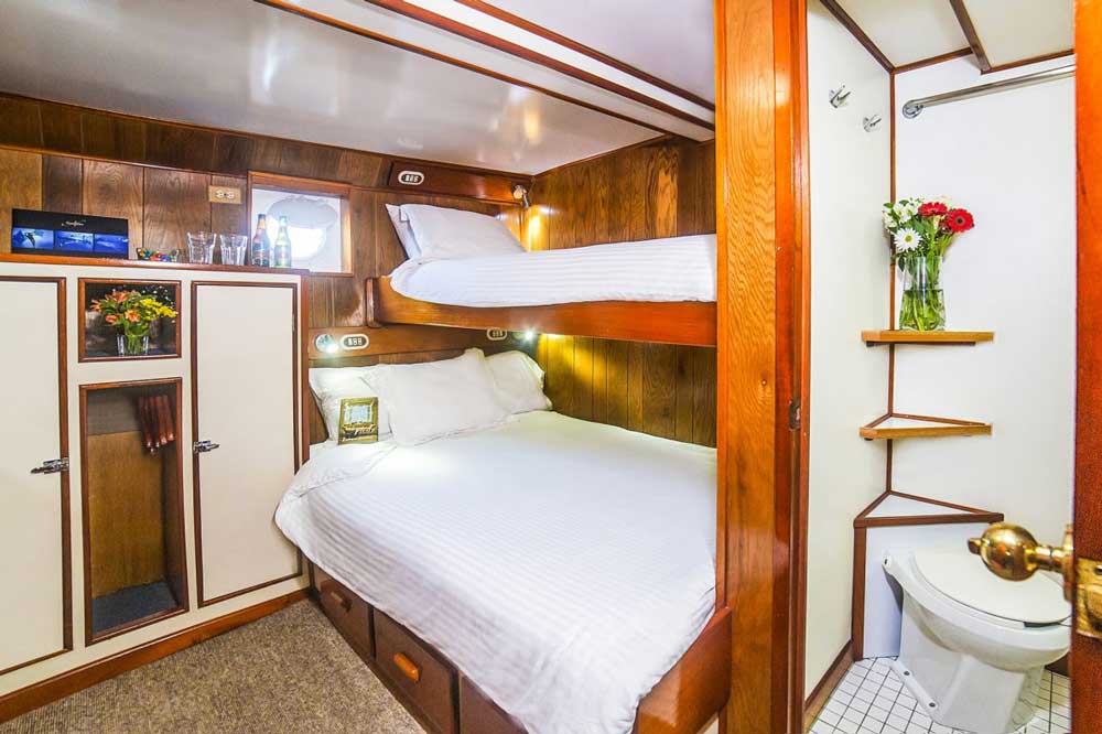 Undersea Stateroom D