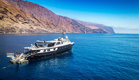 En route to shark cage dive