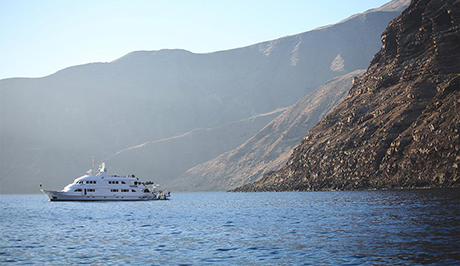 Nautilus Belle Amie at guadalupe Island