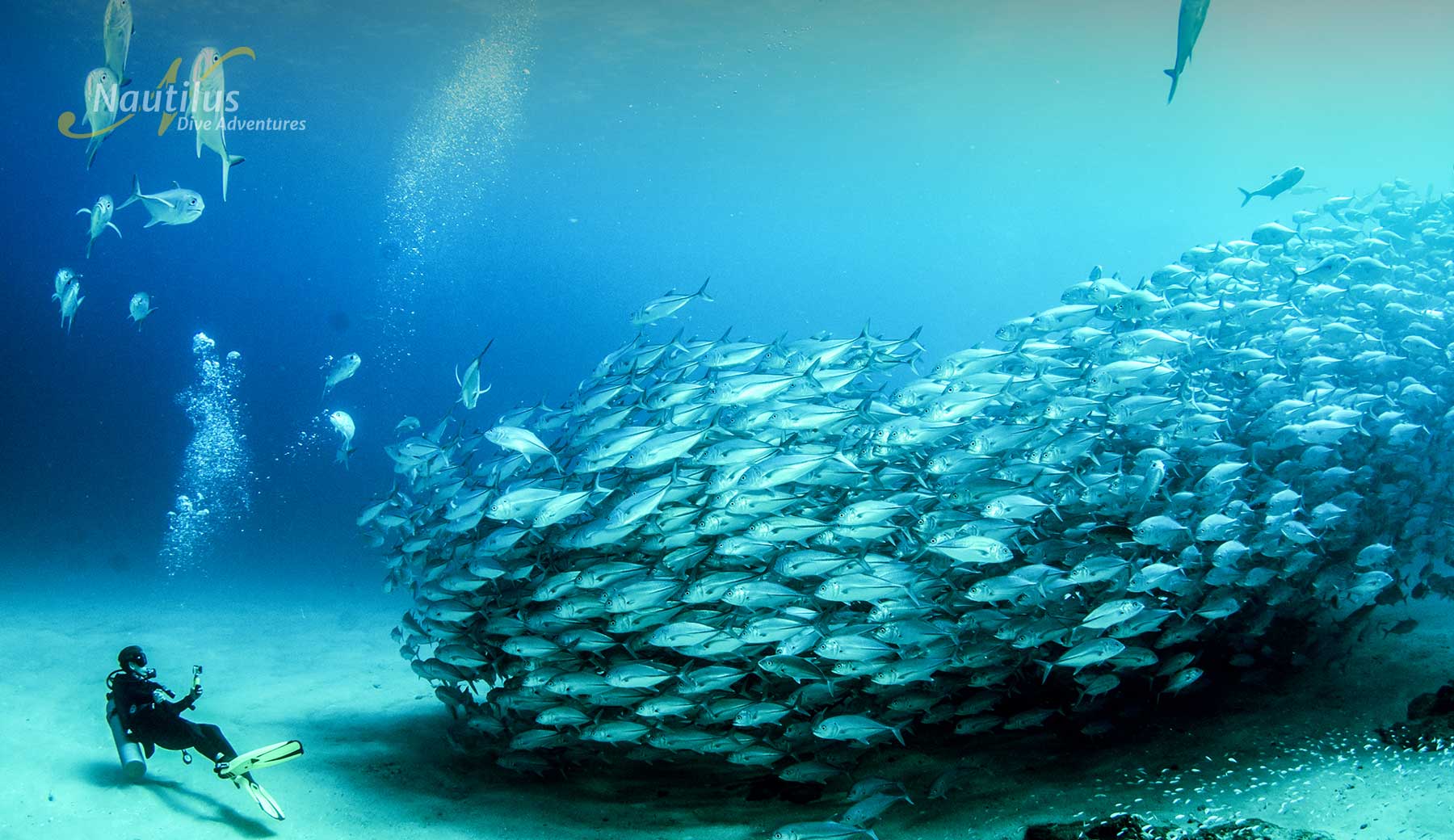 Cabo Pulmo Diving expedition